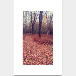 Autumn Wonderland Posters and Art